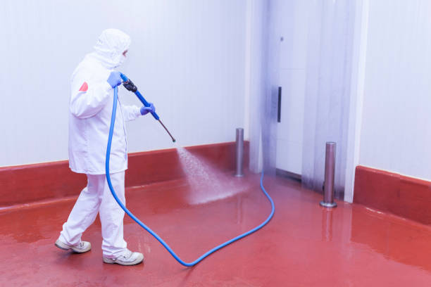 Best Roof Washing  in Idalou, TX