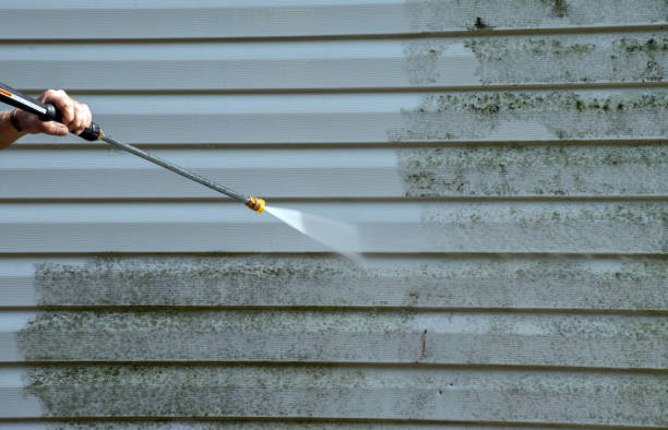 Best Gutter Cleaning  in Idalou, TX